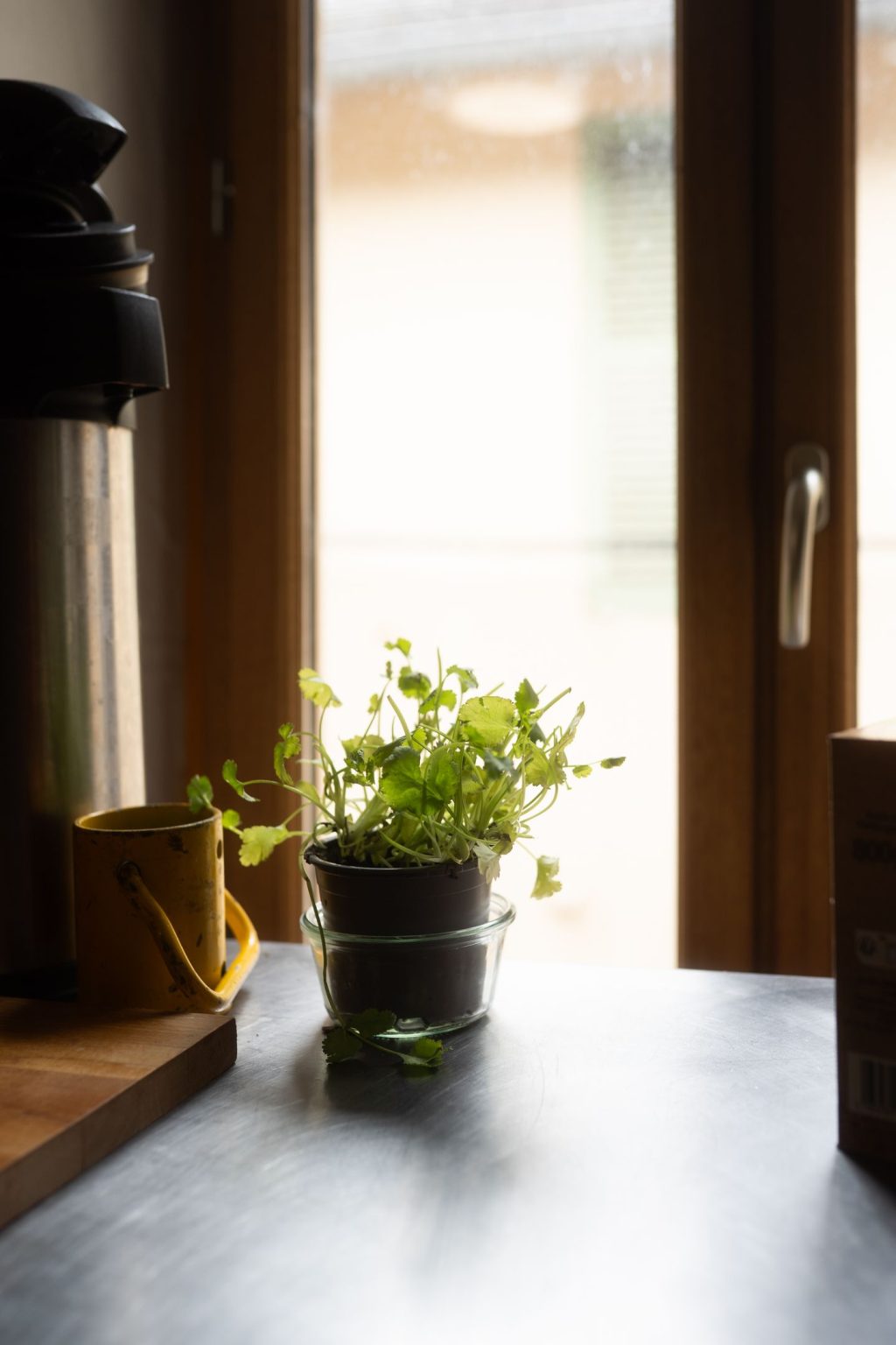 myrrhe-biennale2026-122